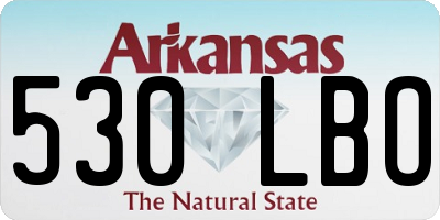 AR license plate 530LBO
