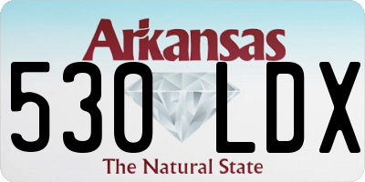 AR license plate 530LDX