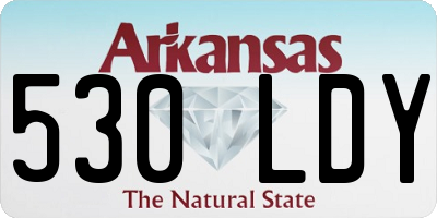 AR license plate 530LDY
