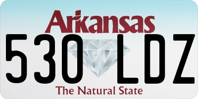 AR license plate 530LDZ