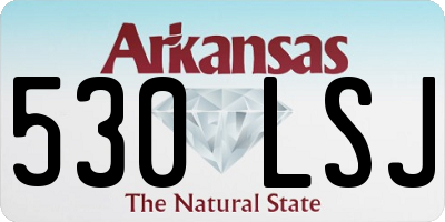 AR license plate 530LSJ