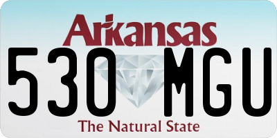 AR license plate 530MGU