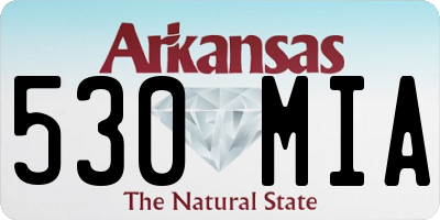 AR license plate 530MIA
