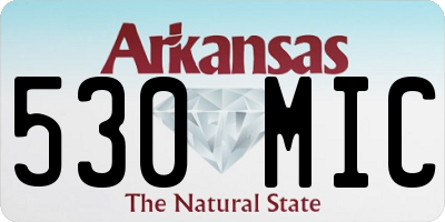 AR license plate 530MIC