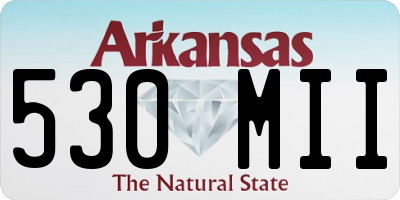 AR license plate 530MII