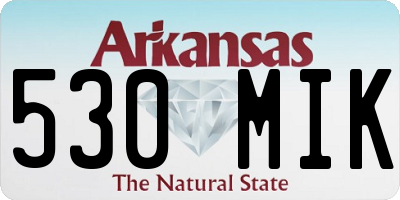 AR license plate 530MIK