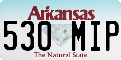 AR license plate 530MIP