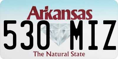 AR license plate 530MIZ