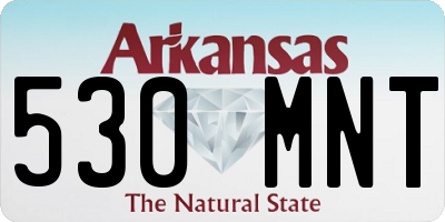 AR license plate 530MNT