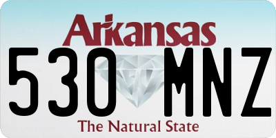 AR license plate 530MNZ