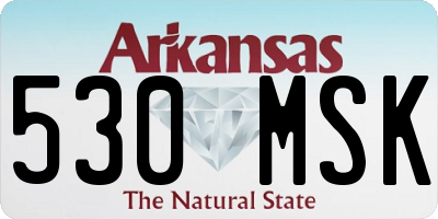 AR license plate 530MSK