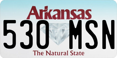 AR license plate 530MSN