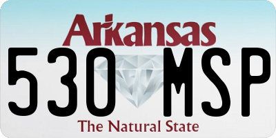 AR license plate 530MSP
