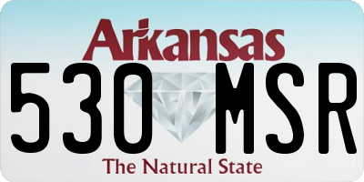 AR license plate 530MSR