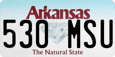 AR license plate 530MSU