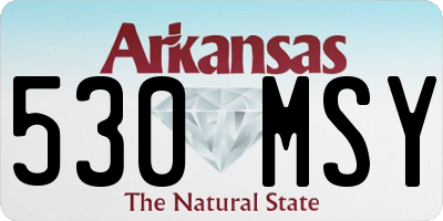 AR license plate 530MSY
