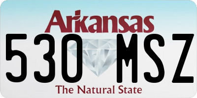 AR license plate 530MSZ