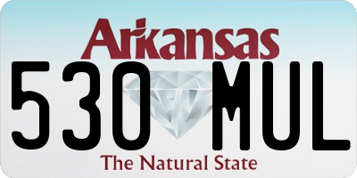 AR license plate 530MUL