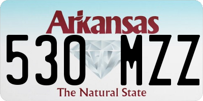 AR license plate 530MZZ