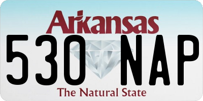AR license plate 530NAP