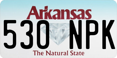 AR license plate 530NPK