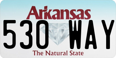 AR license plate 530WAY