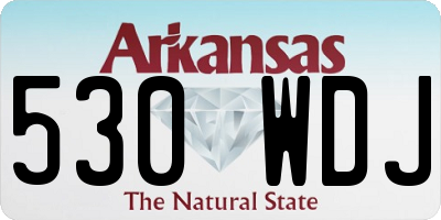 AR license plate 530WDJ