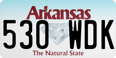 AR license plate 530WDK