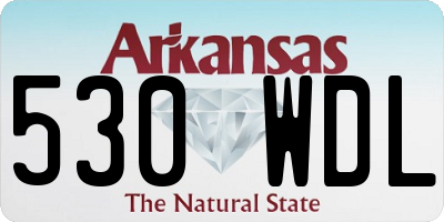 AR license plate 530WDL