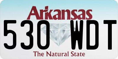 AR license plate 530WDT
