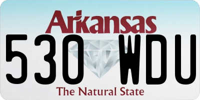 AR license plate 530WDU