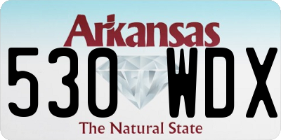AR license plate 530WDX