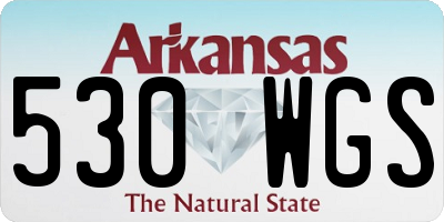 AR license plate 530WGS