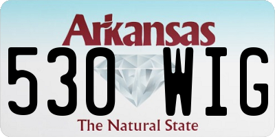 AR license plate 530WIG