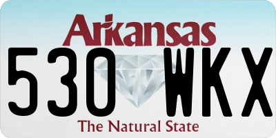 AR license plate 530WKX