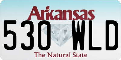 AR license plate 530WLD