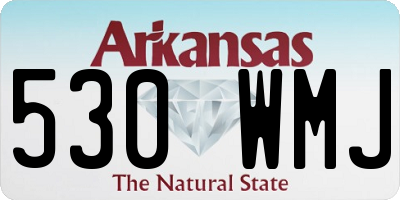 AR license plate 530WMJ