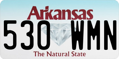 AR license plate 530WMN