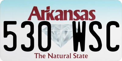 AR license plate 530WSC