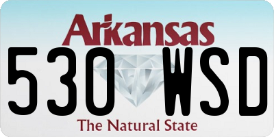 AR license plate 530WSD