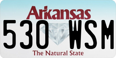 AR license plate 530WSM