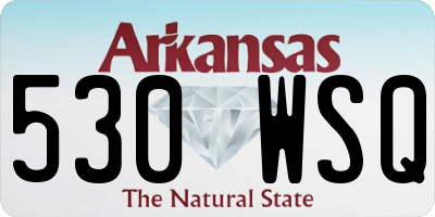 AR license plate 530WSQ