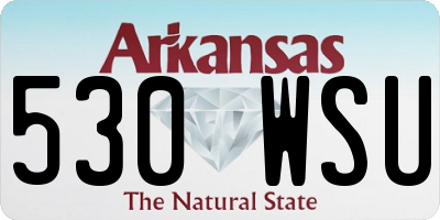 AR license plate 530WSU
