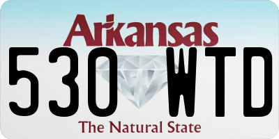 AR license plate 530WTD