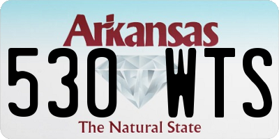 AR license plate 530WTS