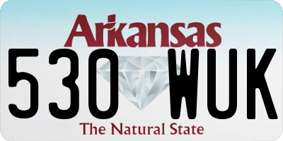 AR license plate 530WUK