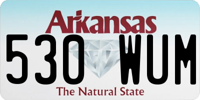 AR license plate 530WUM