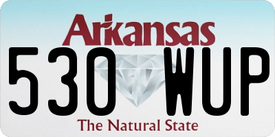 AR license plate 530WUP