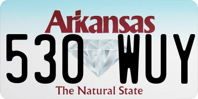 AR license plate 530WUY