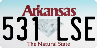 AR license plate 531LSE